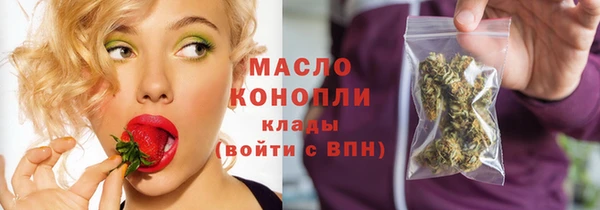 индика Магас
