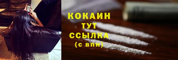 индика Магас