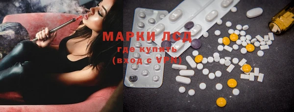 индика Магас